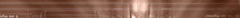 �W��Banner02